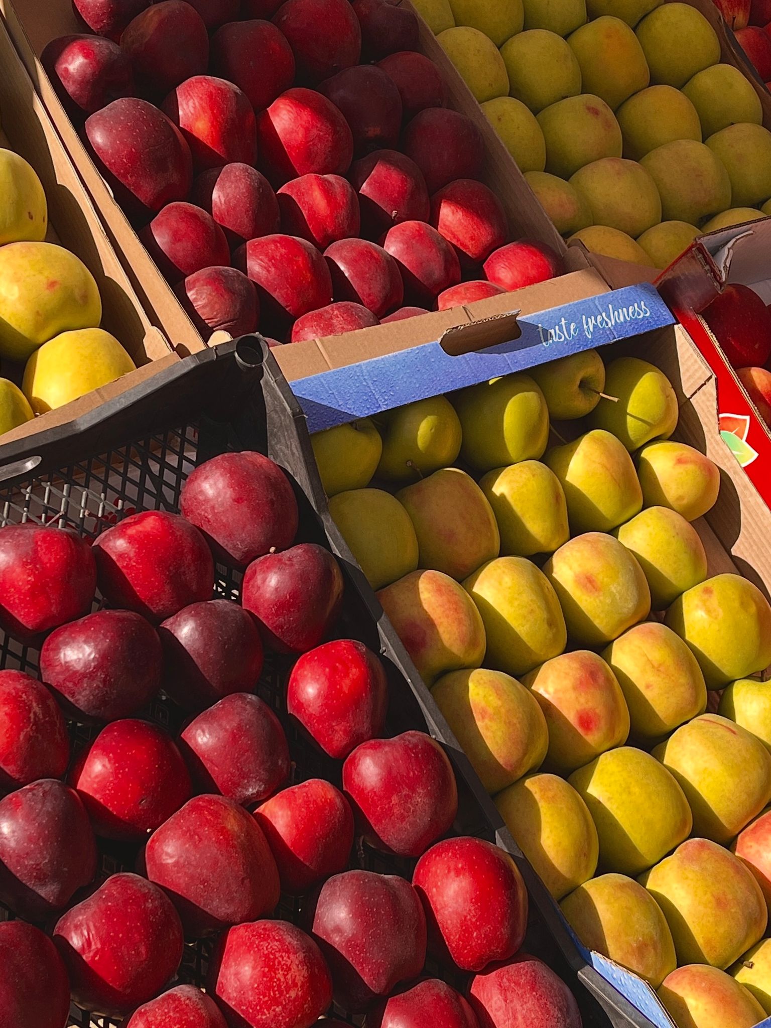 Colorful assortment of red and yellow apples in wooden crates on a sunny outdoor market day.