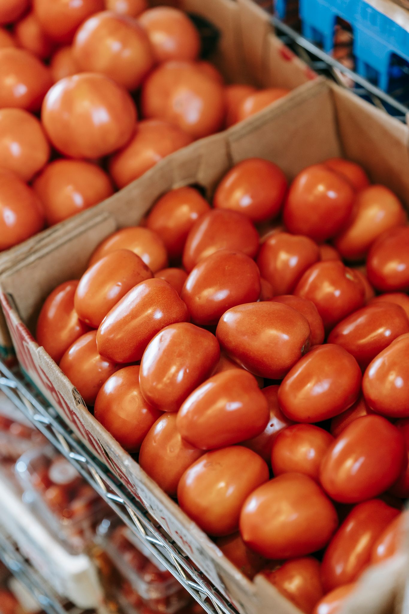 From above of round and oval shaped tomatoes in containers on shelf in grocery shop in shiny light
